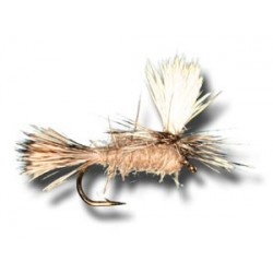 Dries Pure Parachute Hares Ear $2.34