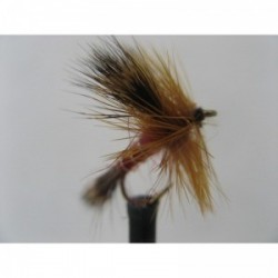 Dries Pure wulff red sedge $2.34
