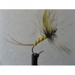 Dries Pure fanwing mayfly $2.34