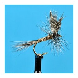 Dries Pure Gray Quill $2.34