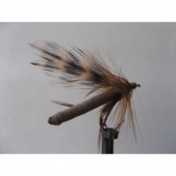 Dries Pure foam fiery brown daddy $2.34