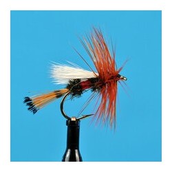 Dries Pure Royal Coachman Trude $2.34