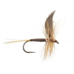 Dries Pure ginger quill $2.34