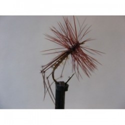 Dries Pure ginger holo pearl hopper $2.34