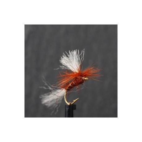 Dries Pure fiery brown shipmans para dry $2.34