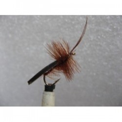 Dries Pure brown horned sedge $2.34