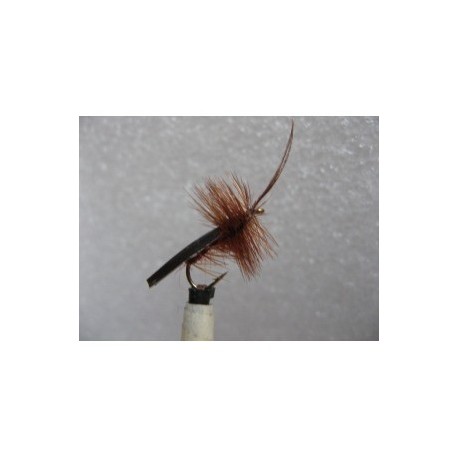 Dries Pure brown horned sedge $2.34