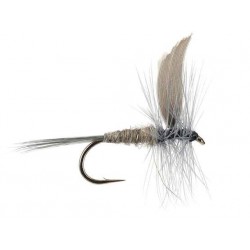 Dries Pure blue dun $2.34