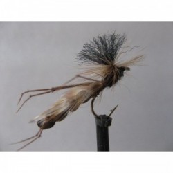 Dries Pure sugar daddy $2.34