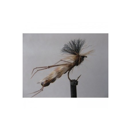 Dries Pure sugar daddy $2.34