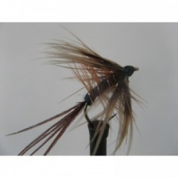 Dries Pure french partridge dry $2.34