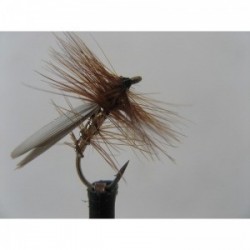Dries Pure silver sedge $2.34