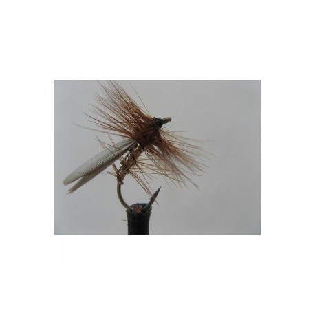 Dries Pure silver sedge $2.34