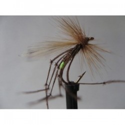 Dries Pure fluo green daddy $2.34