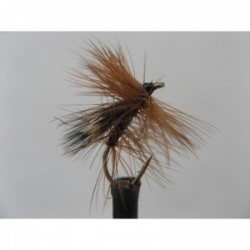 Dries Pure fluttering sedge $2.34