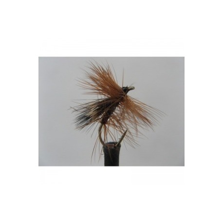 Dries Pure fluttering sedge $2.34