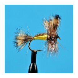 Dries Pure Yellow Humpy $2.34