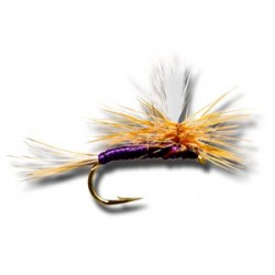 Dries Pure Purple Haze $2.34