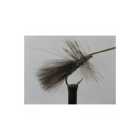 Dries Pure sedge cdc high rider $2.34