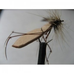 Dries Pure foam big boy daddy $2.34