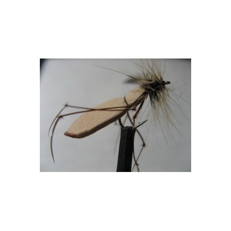 Dries Pure foam big boy daddy $2.34