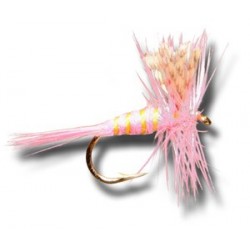 Dries Pure Pink Lady Dry $2.34