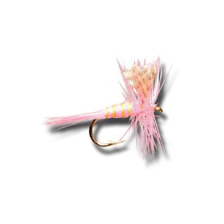 Dries Pure Pink Lady Dry $2.34