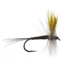 Dries Pure quill gordon $2.34