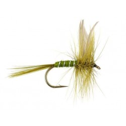 Dries Pure rough olive $2.34