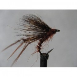 Dries Pure fiery brown harry potter $2.34