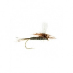 Dries Pure adams parachute $2.34