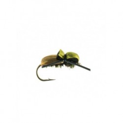 Dries Pure beetle japanese $2.34