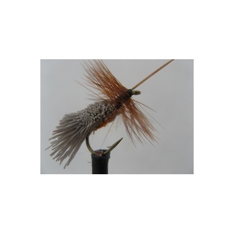 Dries Pure g and h orange sedge $2.34