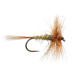 Dries Pure march brown classic $2.34