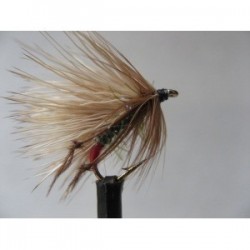Dries Pure leggy green peter sedgehog $2.34