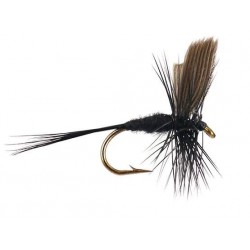 Dries Pure black gnat $2.34