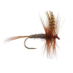 Dries Pure dark cahill $2.34