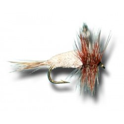 Dries Pure Adams Irresistible $2.34