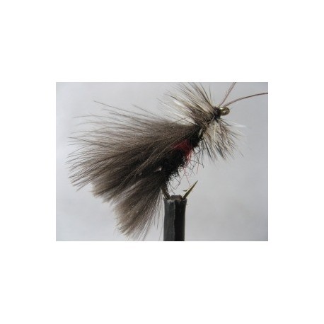 Dries Pure bibio cdc high rider $2.34