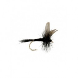 Dries Pure black gnat $2.34
