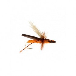 Dries gypsy king orange $2.34