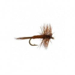 Dries flies $2.34