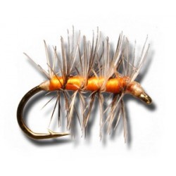 Dries Asher Orange $2.34