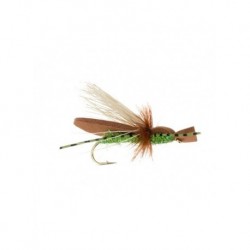 Dries gypsy king golden brown $2.34
