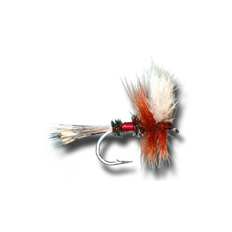 Dries Wulff Royal $2.34