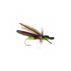 Dries gypsy king watermelon $2.34