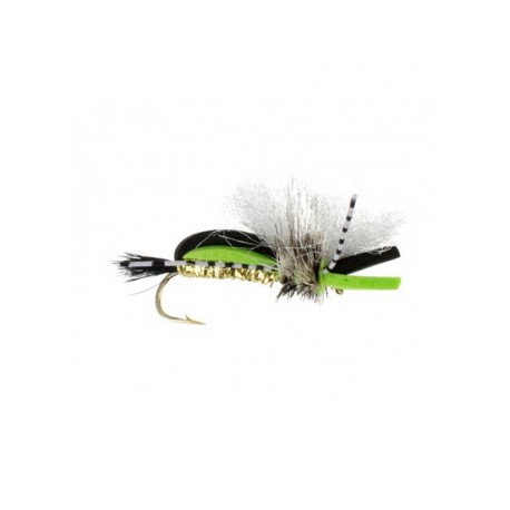 Dries bashed hippie lime $2.34