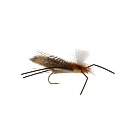 Dries carnage attractor tan $2.34