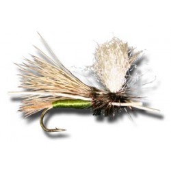 Dries PMX Olive $2.34