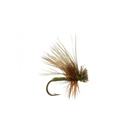 Dries foam caddis olive $2.34